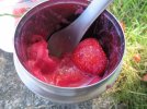 IMG_2962S.JPG