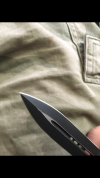 F185EA64-89F2-4B09-992F-2332EAE6D096.png
