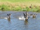 IMG_2895S.JPG