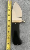 IMG_7351.JPG