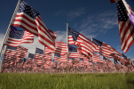 4A44DF56-ED45-44E0-A6D7-C61A03BB1995.png