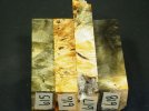 6c.jpg