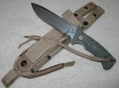Neil Roberts Warrior Regular.jpg