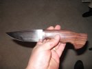 new kinfer 023.JPG