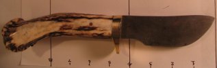 Skinner right side.jpg
