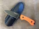 516_G3_orange_flat_DLC.JPG