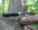 pile.open.woods.jpg