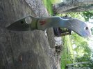 DSCN8115.jpg