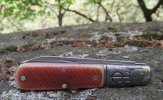 2018 Ancient 3-5.JPG