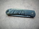 ram's horn folder 029.JPG