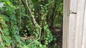 20180714_183639_800x450.jpg