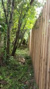 20180714_190827_600x1066.jpg