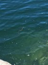 IMG_2869.JPG