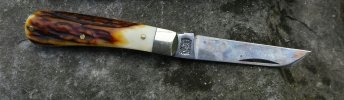 sambar lambsfoot 1.jpg