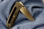 ZILLA 026.jpg