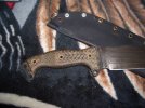 CIMG9048.jpg
