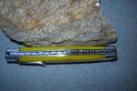 DSC04755.jpg
