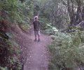 BigRockTrailBridge.jpg