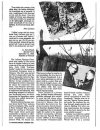 Laganavtac1990article.jpg