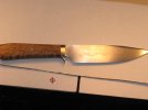 new bowie for sale 021.jpg