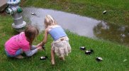 baby_skunks.jpg