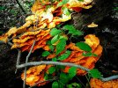 DSCN1259.jpg