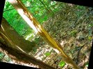 DSCN1271.jpg DSCN1271.jpg