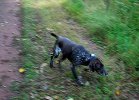 DSCN1250.jpg DSCN1250.jpg