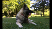 1AE5472A-0705-4A8A-99EB-ED6BB4AC5654.png