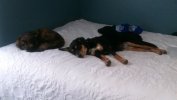 20180720_1616211.jpg