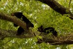 DSC03422ed.jpg