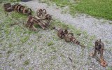 062818-9.jpg