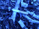 DSCN3158.JPG