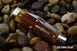 GEC #44 Gunstock Goldenrod002.jpg GEC #44 Gunstock Goldenrod002.jpg