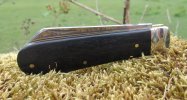 2018 Ebony Guardians Lambsfoot 16-7.JPG