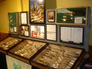 DSC03860.JPG