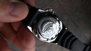 20180728_155123.jpg