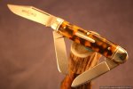 GEC_66_Tortoise.jpg