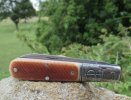 2018 Ancient 5-6.JPG