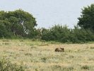 3C358D30-D694-4B4C-BEDB-D3B7407041AC.jpeg