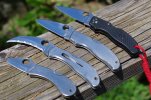 Old Spyderco Small BR's 002.JPG
