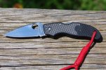 Old Spyderco Small BR's 003.JPG