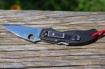 Old Spyderco Small BR's 004.JPG