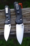 BM Ritters Strider PT 010.JPG