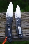 BM Ritters Strider PT 007.JPG