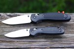 BM Ritters Strider PT 011.JPG