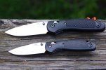 BM Ritters Strider PT 012.JPG