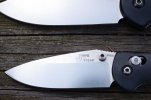 BM Ritters Strider PT 014.JPG
