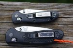 BM Ritters Strider PT 017.JPG