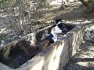 DSC00011.jpg